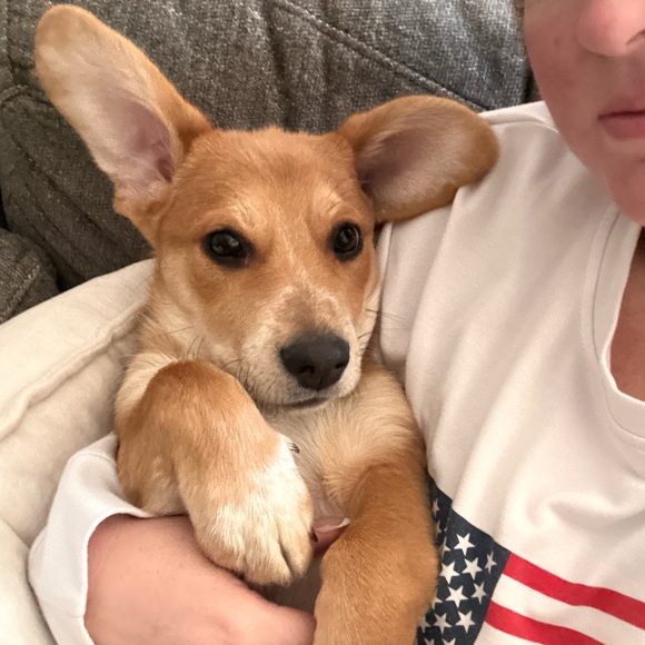 Like this to be notified: Sip and Sell Share Show Event Poster - Picture 8 of 8